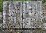 St-Margarets-Mid-Illovo-graves-Dorothea-and-Dudley-Gordon30-Copy