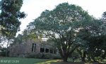 Stainbank Nature Reserve - Coedmore Castle (23)