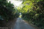 Stainbank Nature Reserve - Driveway (1)