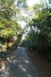 Stainbank Nature Reserve - Driveway (2)