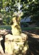 Stainbank Nature Reserve - Gardens (4)
