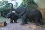 Stainbank Nature Reserve -  Mary Stainbank Gallery (2)