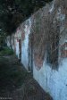 Stainbank Nature Reserve - Old outbuildings (15)