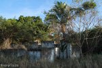 Stainbank Nature Reserve - Old outbuildings (21)