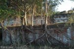 Stainbank Nature Reserve - Old outbuildings (23)
