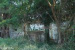 Stainbank Nature Reserve - Old outbuildings (24)