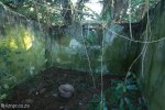 Stainbank Nature Reserve - Old outbuildings (26)