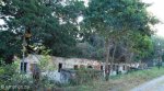 Stainbank Nature Reserve - Old outbuildings (3)