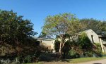 Stainbank Nature Reserve - Wilderness Leadership School (2)