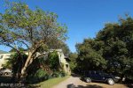 Stainbank Nature Reserve - Wilderness Leadership School (3)