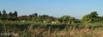 Stainbank Nature Reserve - Zebras