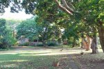 Stainbank Nature Reserve -  gardens (10)