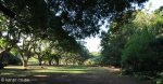Stainbank Nature Reserve -  gardens (5)