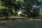 Stainbank Nature Reserve -  gardens (6)