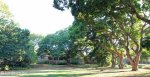 Stainbank Nature Reserve -  gardens (9)