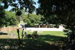Stanger Cemetery - Grave views