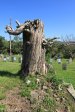 Stanger Cemetery - Graves military 1879