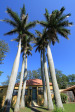 Stanger - Queen of the Holy Rosary Catholic Church -  Palms - Cnr Russell & Curtiss - S 29.20.450 E 31.17 (21)