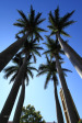 Stanger - Queen of the Holy Rosary Catholic Church -  Palms - Cnr Russell & Curtiss - S 29.20.450 E 31.17 (22)