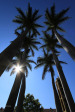 Stanger - Queen of the Holy Rosary Catholic Church -  Palms - Cnr Russell & Curtiss - S 29.20.450 E 31.17 (23)