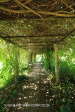 Hartford House Pergola (2)