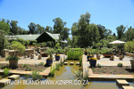 Hartford House Tea Garden (3.) (1)