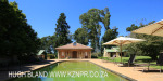 Hartford House Tea Garden (3.) (2)