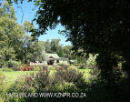Hartford House Tea Garden (3.) (3)
