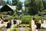 Hartford House Tea Garden (4)