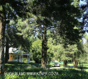 Summerhill Stud - Erica Goss stables (1)
