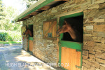 Summerhill Stud - Erica Goss stables (10)