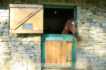 Summerhill Stud - Erica Goss stables (7.) (2)