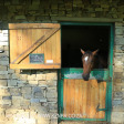 Summerhill Stud - Erica Goss stables (7.) (3)