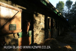 Summerhill Stud - Erica Goss stables (7).