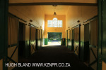 Summerhill Stud Northern Guest Stallion Barn (5)