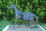 Summerhill Stud Northern Guest Stallion Barn Plaques  (2)