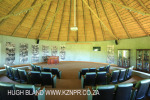 Summerhill Stud Training Acadamy (9)