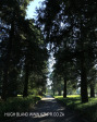 Summerhill Stud paddocks and driveways (1)