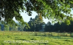 Summerhill Stud paddocks and driveways (5)