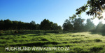 Summerhill Stud paddocks and driveways (6)