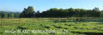 Summerhill Stud paddocks and driveways (7)