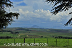 Summerhill Stud views (5)