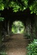 hartford-garden-pergola-1