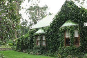 Summerhill Stud & Hartford House