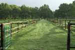 summerhill-paddocks-horses-5