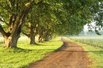 summerhill-road-from-hartford-1
