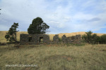 Swartberg Hlani Farm old derelict farmhouse (48)