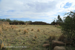 Swartberg Hlani Farm old derelict farmhouse stone kraals (7)