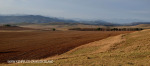 Swartberg Hlani Farm views of farm (2.) (1)