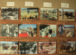 Swartberg Farmers Association sale images over the years (2)